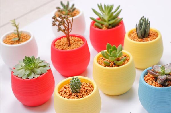 10 pezzi/5 pezzi di fiori di fiori quadrati piantatrici rotonde vasi di plastica pentole creative piccoli vasi per piante succulente decorazioni da giardino gyh