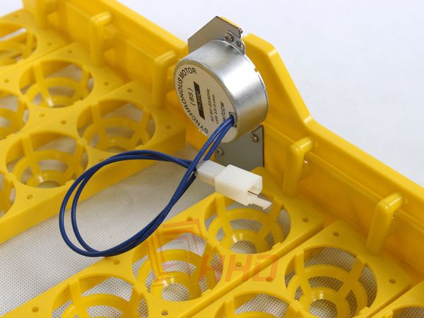 Capacità 48 Accessorio per vassoio incubatore con portata per portata di uova portanatura di pollo anatra per l'allevamento di pollo 12V 220 V per YZ8-48