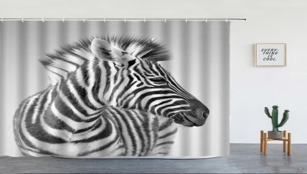 Cortinas de chuveiro Africano zebra preto branco listrado animal selvagem de cenário cinza decoração de tecido de banheiro de poliéster com ganchos2617344