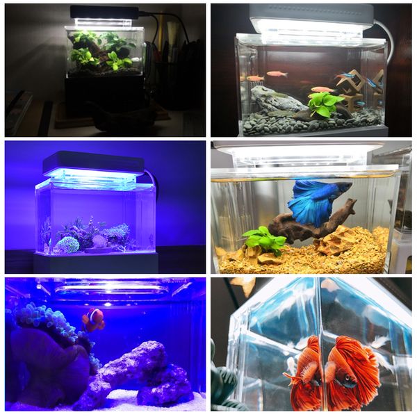 Mavi LED aydınlatma balık tankı mini plastik balık tankı silindiri için ışık lambası adanmış mavi mercan LED ışıkları akvaryum aksesuarları