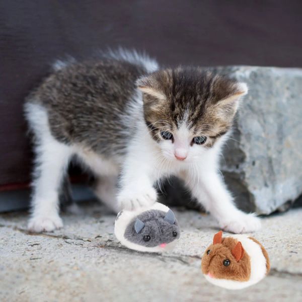 Yeni kedi oyuncak peluş kürk oyuncak sallama titreşimli çekme ipi komik fare peluş oyuncak pet kedi ısırık hareketi sıçan küçük interaktif oyuncak