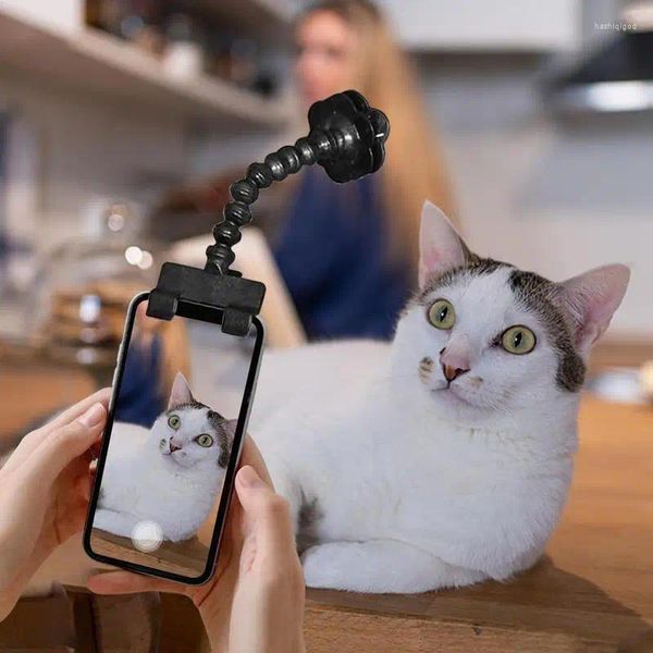 Abbigliamento per cani Pet Selfie Stick for Dogs Cat Pography Tools Interaction Toy Concentrate Forming Supplieri Accessori per la casa