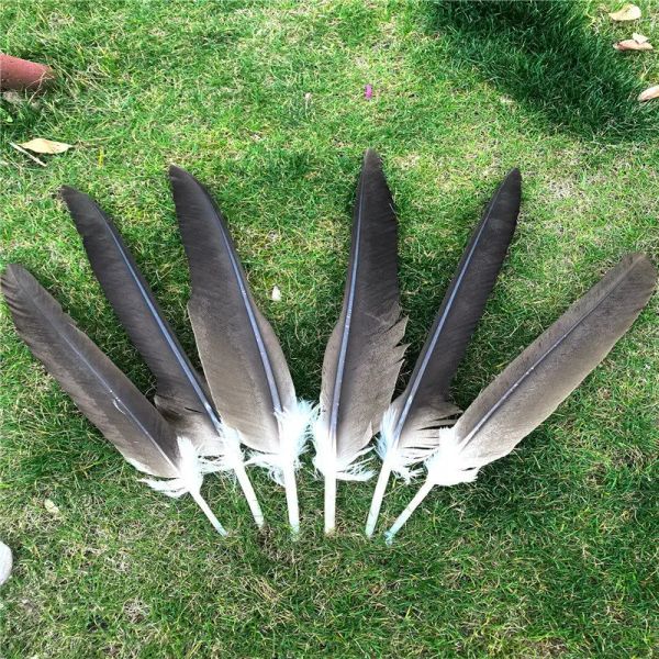 1pc Feather rara Natural Big Feather Arrow Horse Eagle Tail Hair