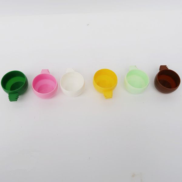 1 pcs colorato per pappagallo di plastica per alimentazione per uccelli cricetore a tazza di alimentazione piatta tazza appesa che beve ciotola per alimenti strumenti per uccelli forniture per uccelli