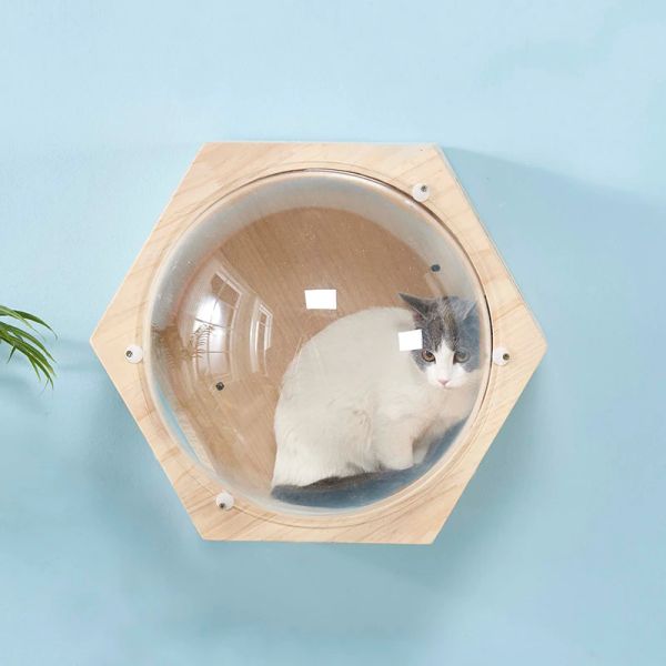 Wand montiertes Holz Katzenhaus Bett Katzenbaumturm Raumkapsel Katze Kletterrahmen Kätzchen Spielzeug Kletterleiter Haustier Scratch Furniture