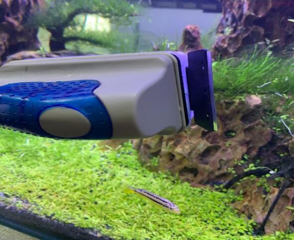 1 PCS Novos escovas de tanques de peixes de aquário magnético