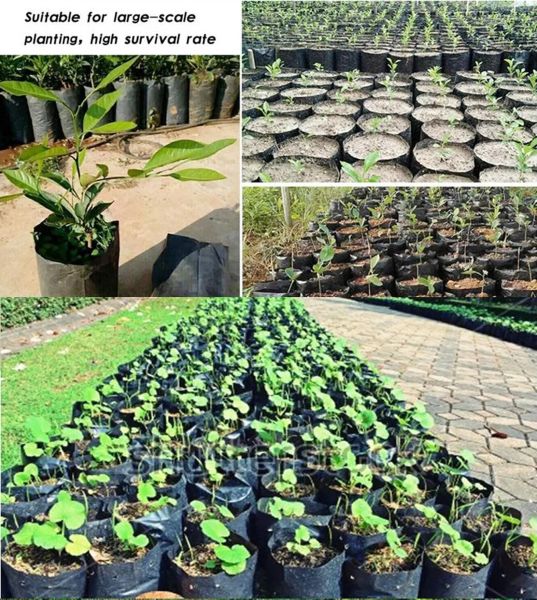 10 Größen pe Plastik Kindergarten Pflanze Anbau Beutel Stoff Sämlingstöpfe mit atmungsaktiven Löchern für Haushaltsbauerngarten Vorräte