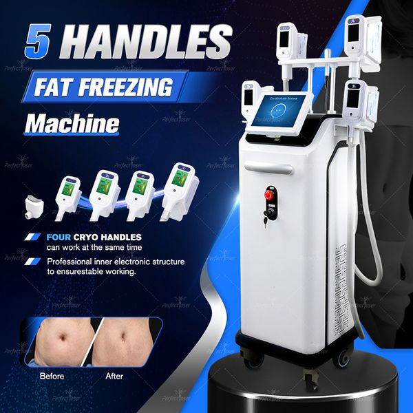 Máquina de congelamento crio -congelamento Cryo Fat Face Double Chin Vacuum Perda de perda de peso Sistema de rejuvenescimento Redução de celulite Máquina de beleza emagrecedor