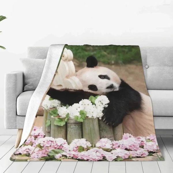 Decken Fubao Panda Fu Bao Tierdecke weiche Plüsch Sherpa Wurf für Easy Care Machine Travel