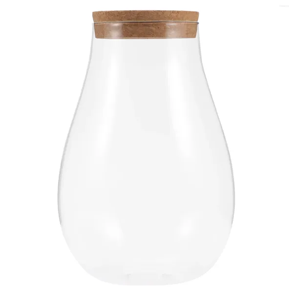 Vasen klare Glasvase -Kugel Mikrolandschaft ökologische Flasche Tee Lichthalter dekorative diy betta terrarium für Pflanzen Florarium