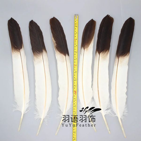 1pc raro arco de penas de águia e flecha rara a águia de águia de penas de artesanato de artesanato em penas naturais de penas de penas