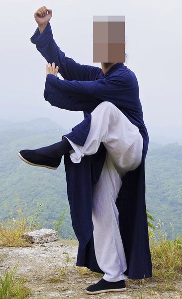 Linenna di alta qualità 20COLORS WUDANG TAI CHI Abbigliamento set Taoista Robe Kung Fu Suit Taoism Martial Arts Taiji Uniforms Blue/Red