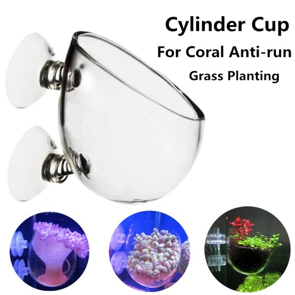 Acquario in vetro Contenitore corallo marino anemone anti-corsa tazza di pesce acqua pianta di cilindri bonsai bonsai per decorazione di piante di corallo