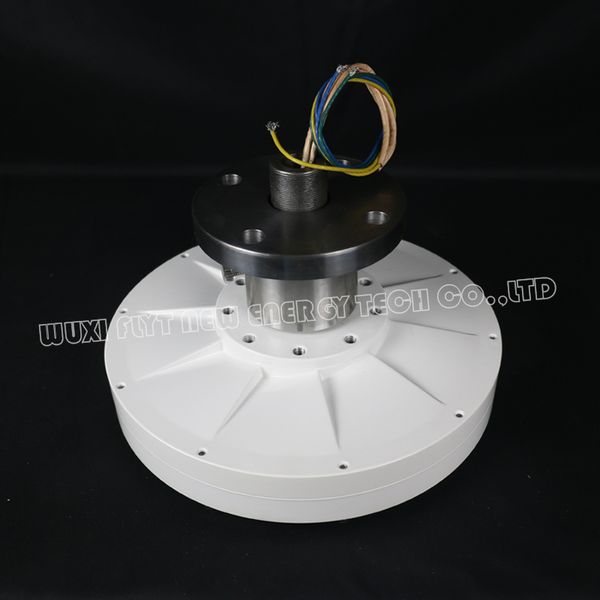 Asse verticale della turbina eolica dell'energia libera 600W 1000W 1200W 12V 24V 48 V Basso RPM Generatore di alternatore a magnete permanente