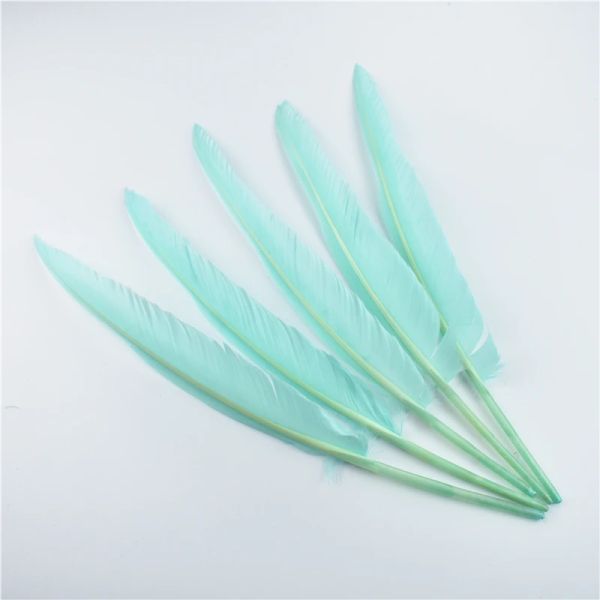 10pcs/lot tacchino piume Duck puntatore wing piuma per mestieri 25-30 cm 10-12 