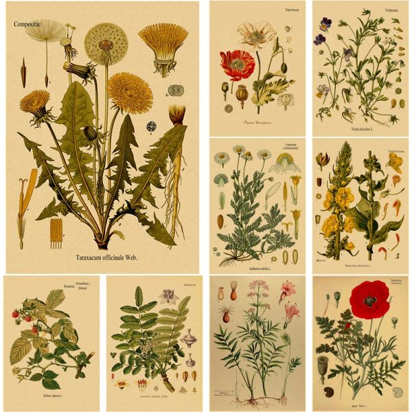 Botanische Kräuterpflanzen Blume Retro Poster Wildpflanzenstudie Kraftpapier DIY Vintage Home Room Dekor ästhetische Kunst Wandmalerei