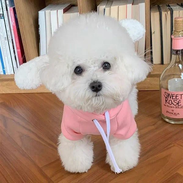 Dog Apparel Sweathers Teddy Little Roupas Primavera e outono Pet Beagles Pomeranian Cats Small Puppies Winter