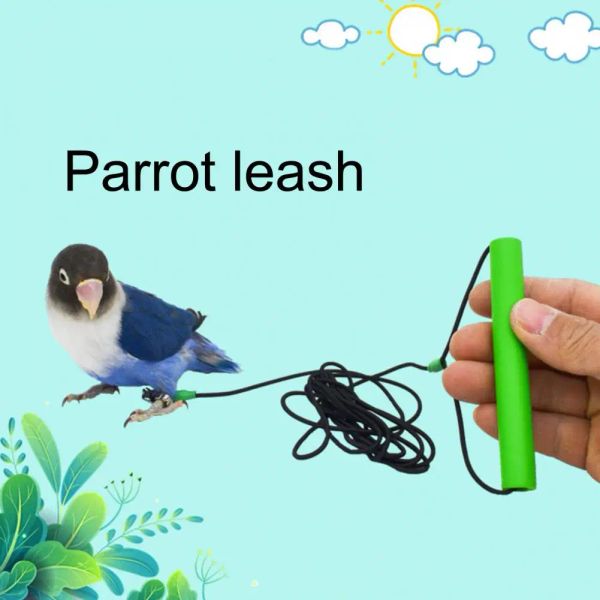Verstellbares Vogel -Leinenkit Verbesserung der Flugerfahrung im Freien mit der Natur für Papageien Cockatiels Lovebirds