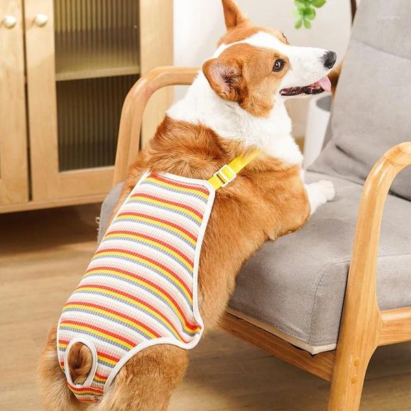 Trajes de vestuário para cães trajes de recuperação para cães femininos ternos de animais de estimação Camisa Período fisiológico