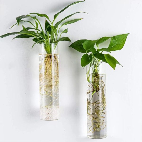 Vasos 2pcs Montados de parede vasos de flores garrafas de vidro de planta perfeitas para decoração de decoração de casas de acesso Acessórios para acessórios Recipientes de tubo