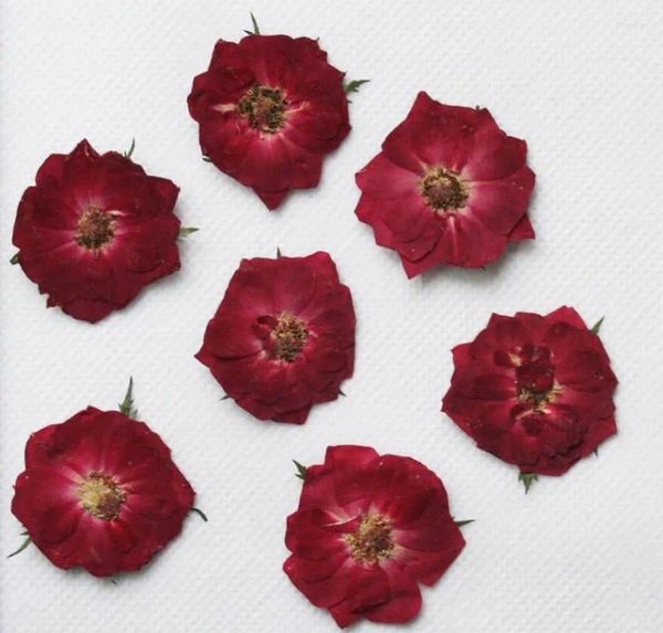 Fiori decorativi 250pcs pressati piante di fiori di rosa secchi erbarium per gioielli in resina epossidica che producono un segnalibro del telefono segnalibro facep makeup nail art