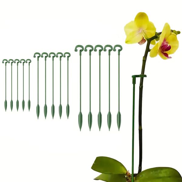 5 pezzi Stend Support Ringlant Plant Ring per orchideo Amaryllis Tomatoi Green Garden Plant Stakes Pianta per i fiori Supporto del gambo