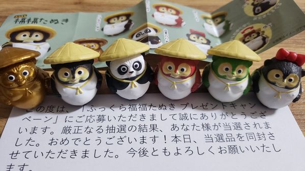 Toys de cápsula originais fofos kawaii gordura fukufuku tanuki com figuras de tanuki gacha grelhado de barriga redonda e fofo