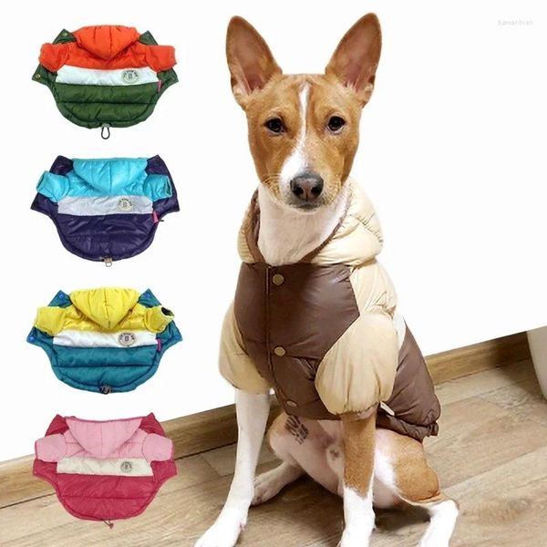 Roupas de vestuário de vestuário de cachorro Jaqueta com capuz de inverno com duas pernas casaco de pano de cachorro quente, algodão espesso de algodão