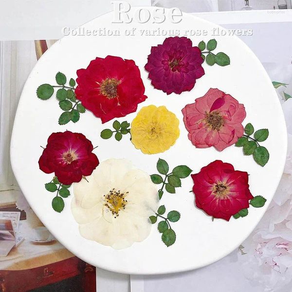 Fiori decorativi 60pcs pressati piante di fiori rosa rosa giallo rosso secco erbario per segnalibri gioielli segnalibri telefoni candela