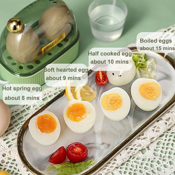 120 W Elektro -Eierkessel -Eierkocher 2 Eier tragbare Lebensmitteldampfer Wilderer Automatische Ausnahme von Mini -Frühstücksmaschine 220 V
