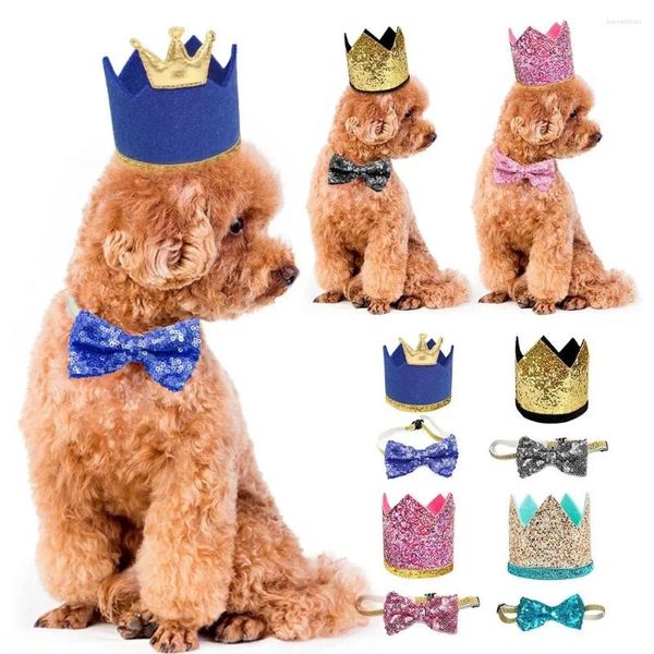 Abbigliamento per cani Accessori per gatti creativi Accessori Birthday Princess Crown Hat Cap Puppes Party