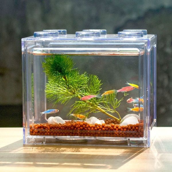 Gamberetti di gamberette ecologiche ecologiche mini pesce pesce tavolo pesce pesce piccolo micro paesaggio dell'acquario in plastica acrilica