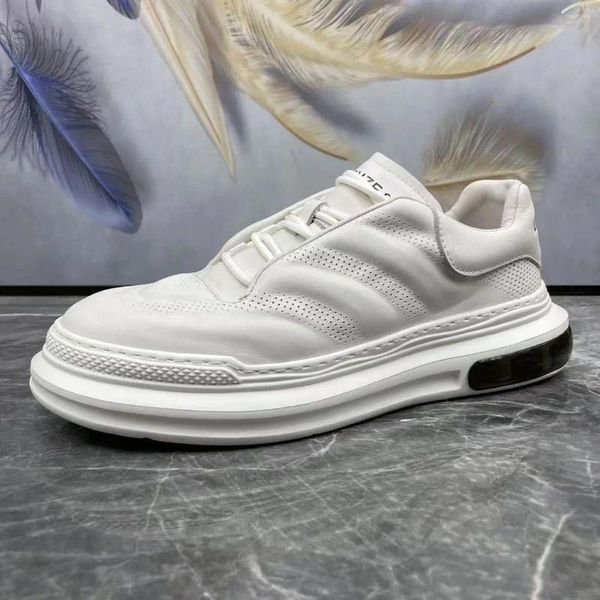 Scarpe casual Platform Platform Breathe Spring Piccola tendenza della moda in pelle versatile giapponese Sneaker d'affari coreana