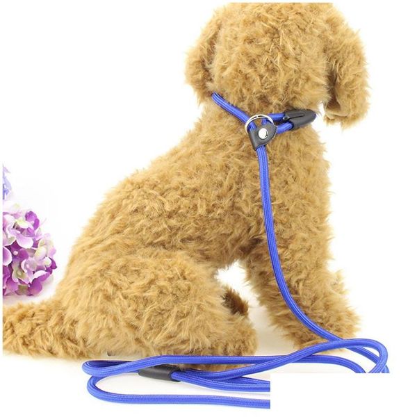 Collari per cani guinzaglio di guinzagli pet nylon addestramento di addestramento slittamento cinghia collare di trazione regolabile cani corde da 0,6x130 cm consegna caduta giardino otduu otduu