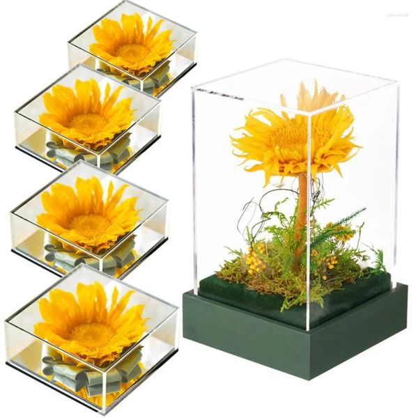 Dekorative Blumen natürliche konservierte Sonnenblume in Acrylbox Eternal Festival Geburtstag Valentiner Lehrer Tag Geschenke Zimmer Schreibtischdekoration
