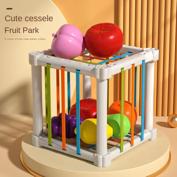 Montessori Baby Toys 6 12 mesi Bambini Educational Development Games Sorter per bambini 1 anno regalo ragazzo