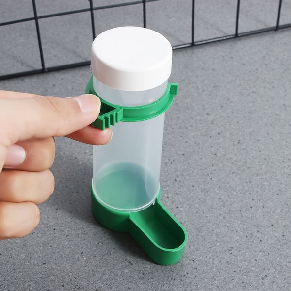 1ps Plastic Plastic Bird Eighder Bird Water Water Bevir Automatico bevuto Bere uccelli per uccelli per pappagalli Strumento di alimentazione che sostiene il distributore