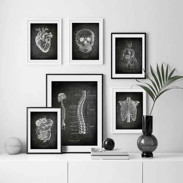 Anatomy Organs Organi Poster di lavagna poster retrò Studenti di medicina decorativa Arte medica pittura da parete