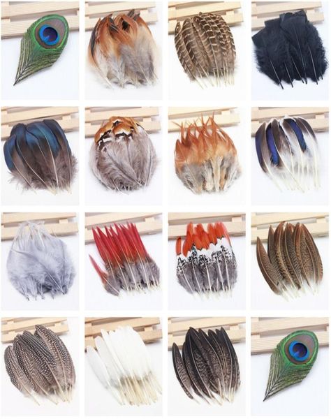 Natural Fasan Federn Chicken Feather Feder Feder DIY Schmuck Campanula Danzkleidung Dekorative Party Dekoration Feder 20pcsset6528164