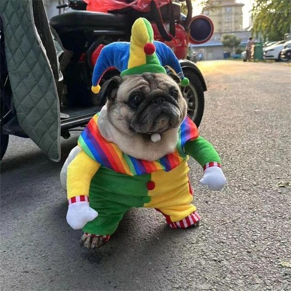 Festa d'abbigliamento per cani costume da compagnia per animali domestici clown cosplay piccoli accessori