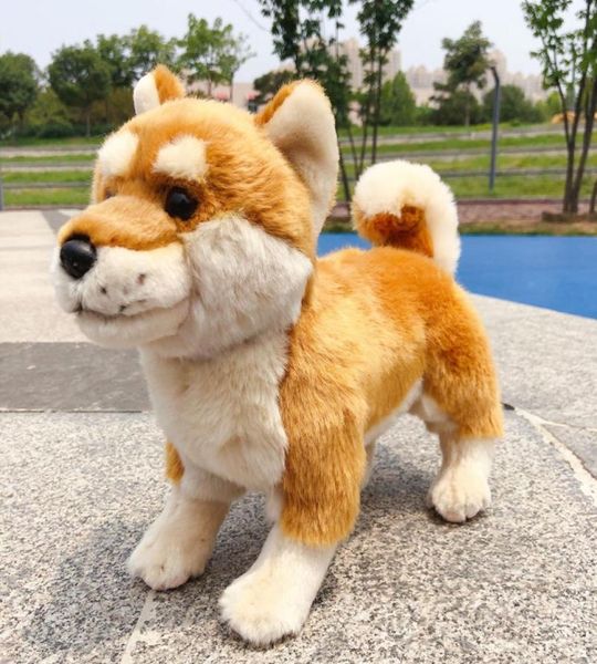 Mini Animal Shiba Inu Doll Plush Mole Plexh Pet Akita Dog Toy Plush Plexh para crianças Decoração de presente 24x30cm