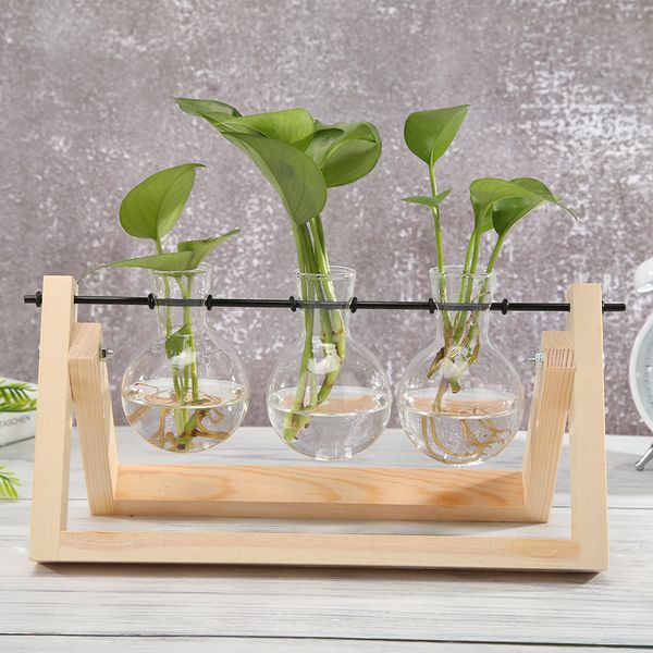Vaso de vidro transparente vasos hidropônicos de planta vasos