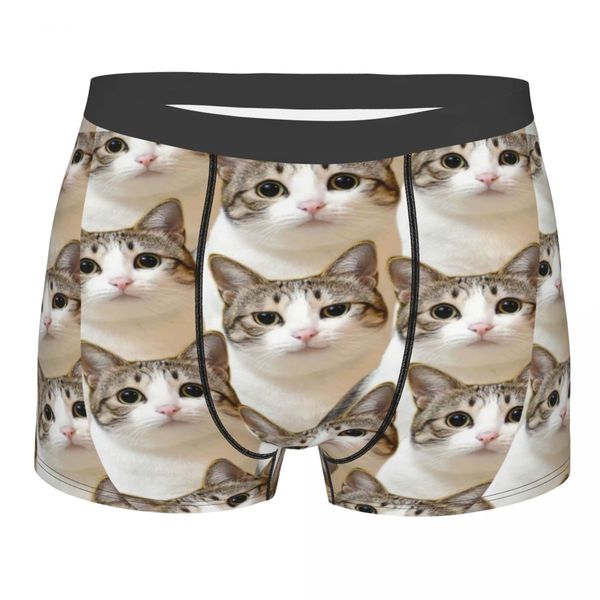 Men Funny Funny Cat Underwear Kitty Sexy Boxer Shorts Calcinha Homme Soft Soft Pants S-XXL