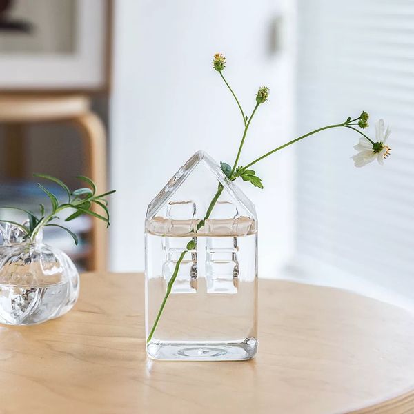 Домашние плантаторы прозрачная стеклянная цветочная ваза.