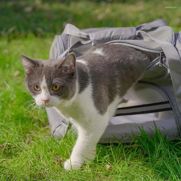 Transportadores de gatos Fabrica