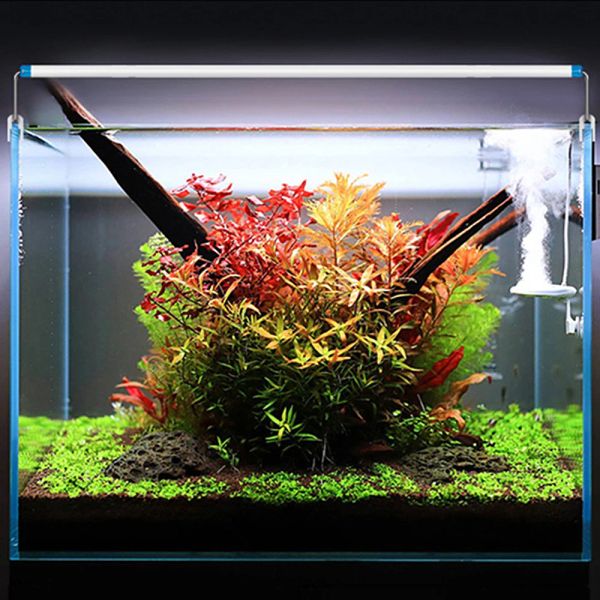 Aquarium LED Light EU/US -Stecker Fischtank Wasserpflanze Anbau 28/48 cm weiß Blau Cliplampe