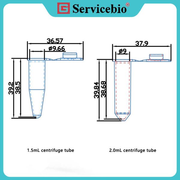 ServiceBio Santrifüj Tüpü 1.5/2.0ml (enzim yok), tüp duvarı kalınlaşır ve tüp gövdesi buzlu bir yazı alanına sahiptir