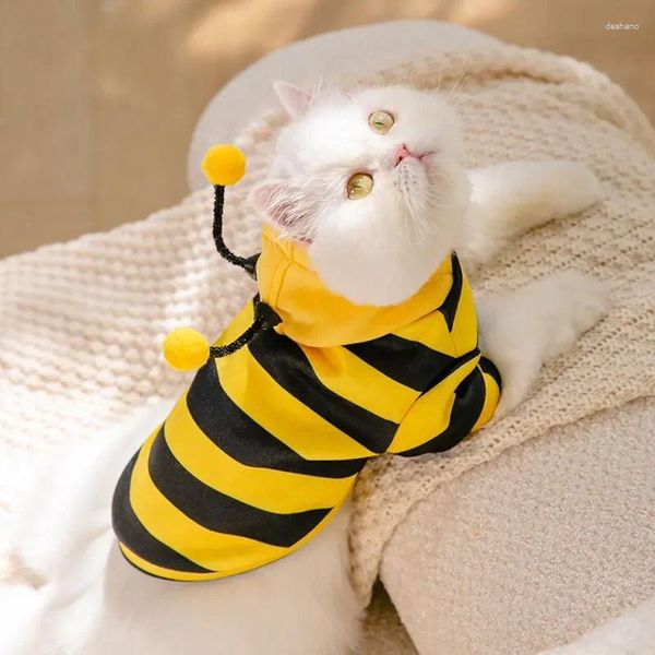 Abbigliamento per cani vestiti per animali domestici piccole api che cambiano outfit autunno sottile gatto con cappuccio piccolo perdita anti-capelli a due gambe felpa xs-xxl