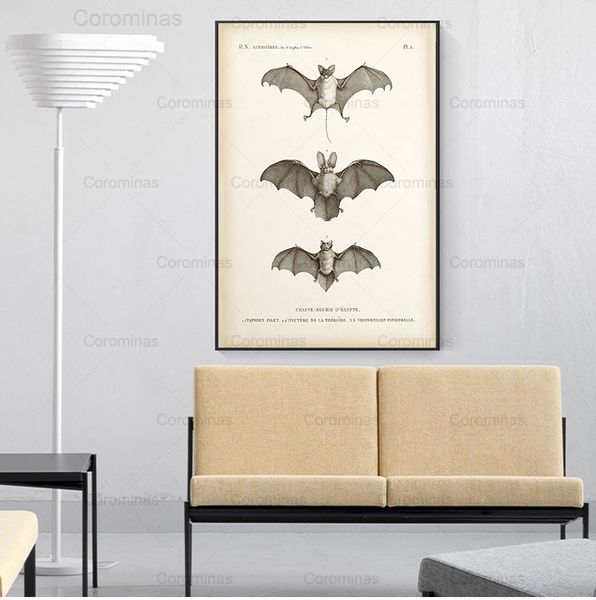 Vintage Bat Print Halloween Wall Art Tela pintando a imagem modular de pôster de animais de morcego antigo para decoração de casa