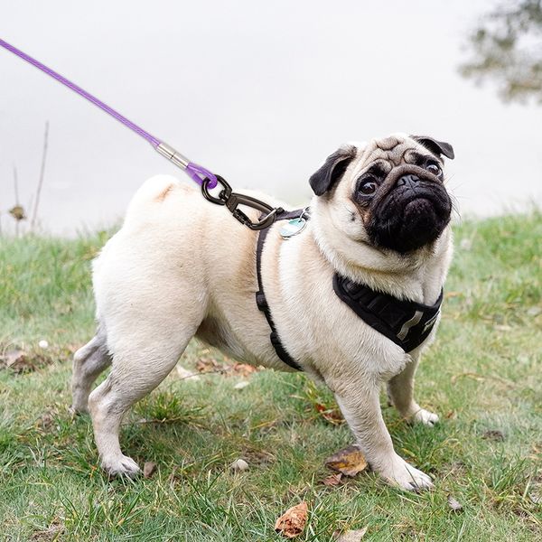 Cabo de amarração de cachorro 3/9/15m Dog Runner para colmeira de cão de arame de aço com clipes de cães de cães de cães grandes duráveis com chumbo de cachorro grande